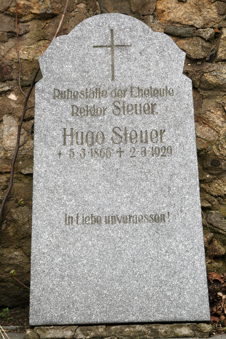 Steuer, Hugo
