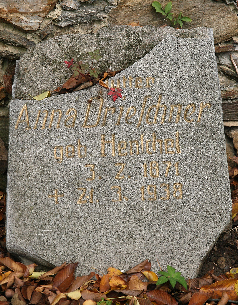 Anna Driescher