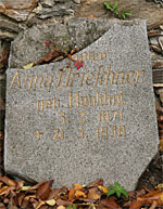Anna Drieschner